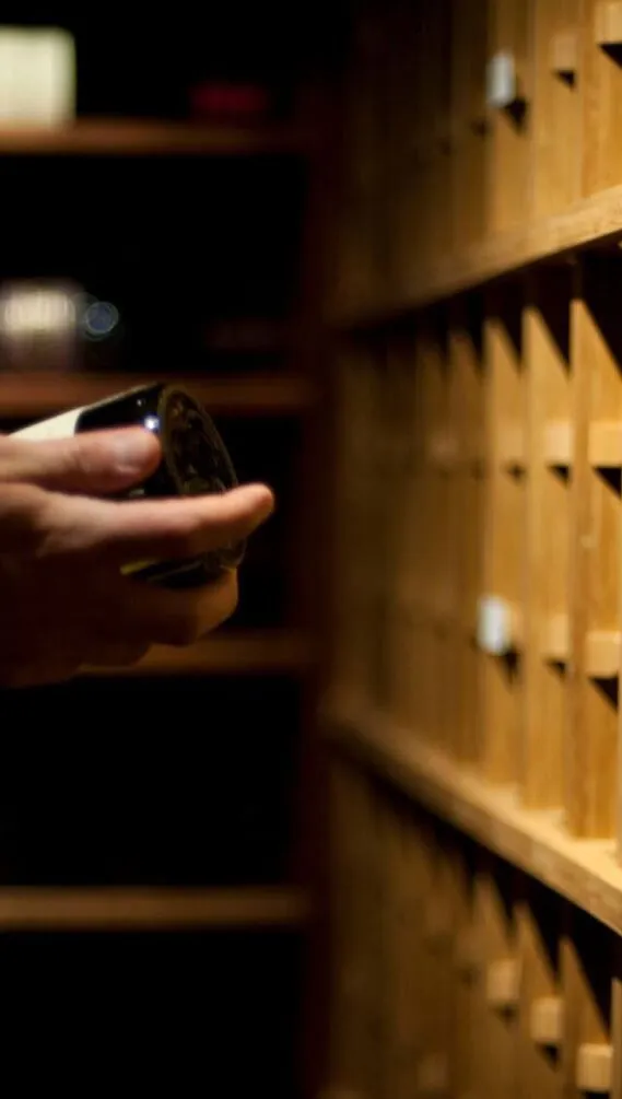 UOVO Wine Cellars